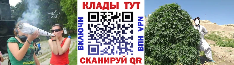 Где можно купить наркотики Северск Псилоцибиновые грибы  ГАШ  COCAIN  A PVP 