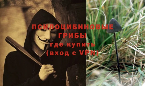 марки lsd Инсар
