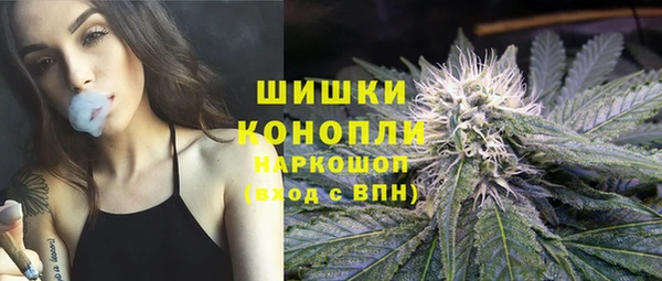 трава Иннополис