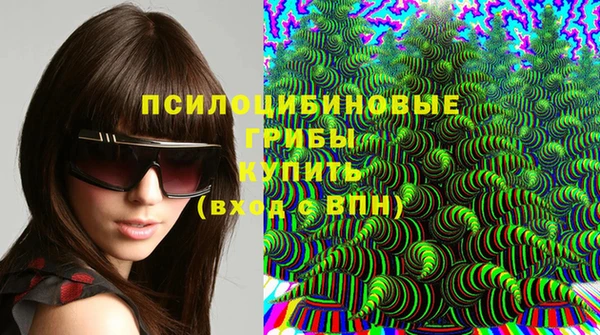 марки lsd Инсар