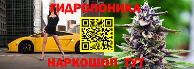 амфетамин Новодвинск