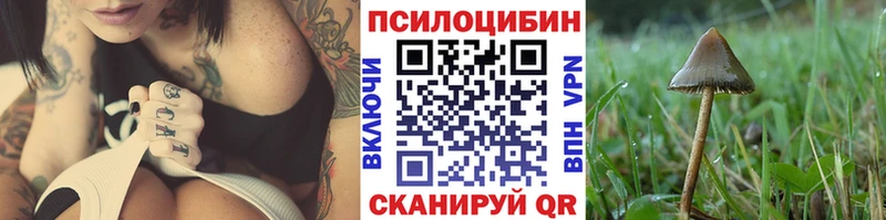 Галлюциногенные грибы MAGIC MUSHROOMS  Северск 