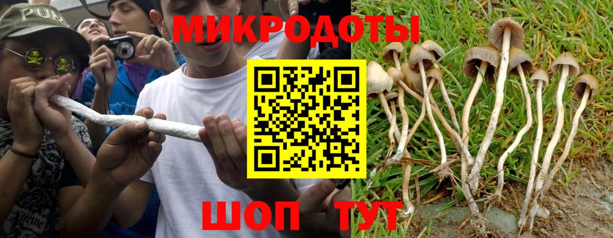 как найти   Псилоцибиновые грибы Psilocybine cubensis  Вход с VPN  Галлюциногенные грибы GOLDEN TEACHER  Северск 