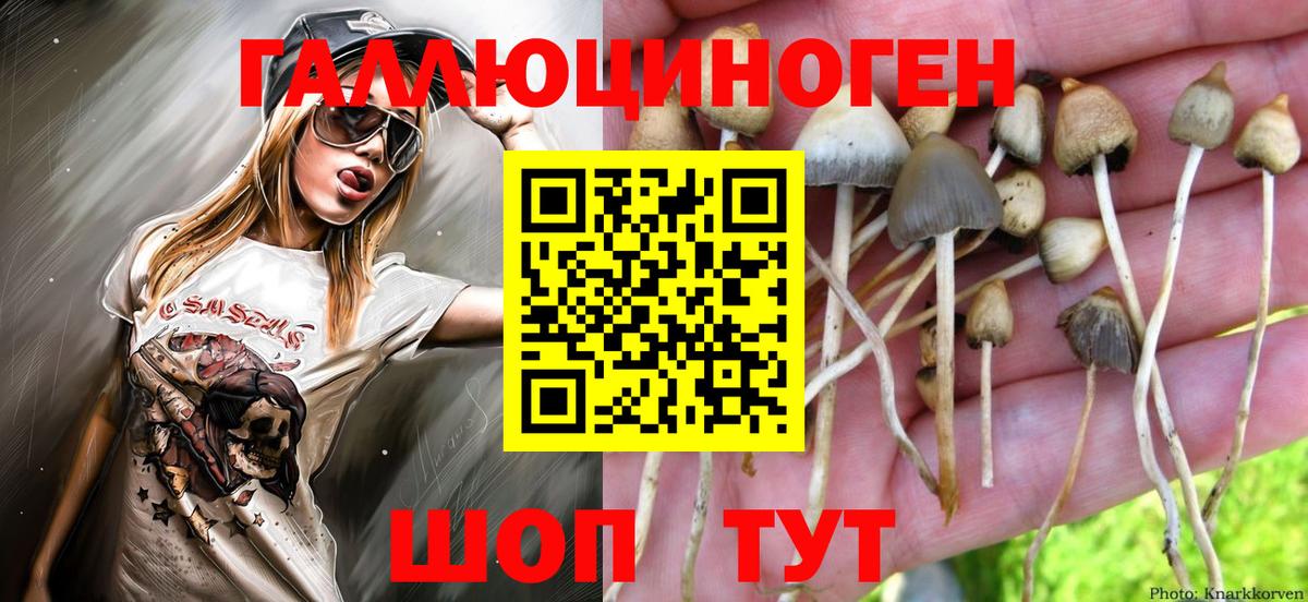 Псилоцибиновые грибы Magic Shrooms Северск