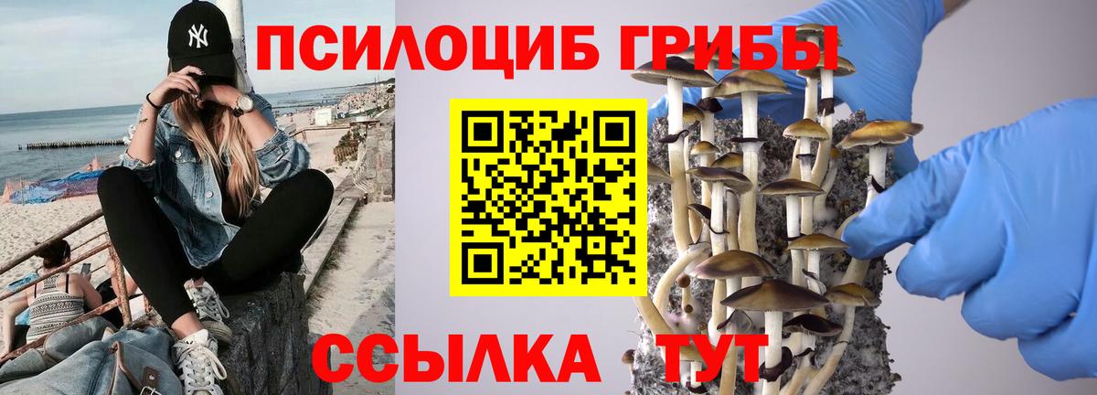 Северск  Псилоцибиновые грибы GOLDEN TEACHER  Вход с VPN 
