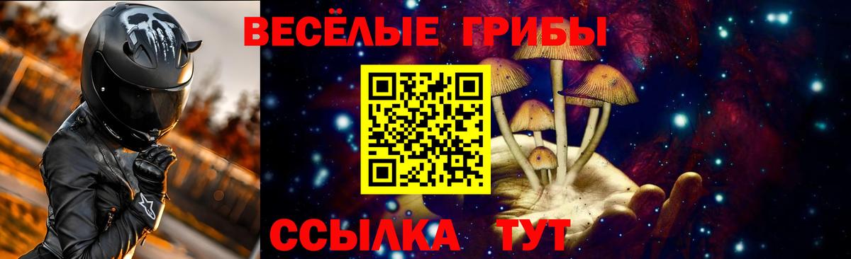Галлюциногенные грибы мухоморы Северск